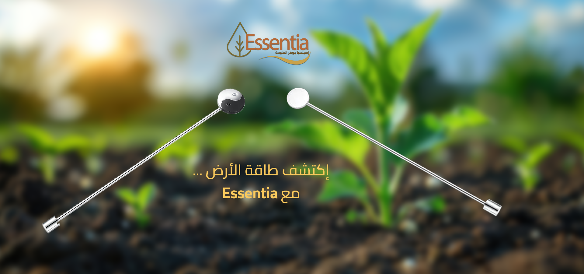 slider image 1621243260e1af0c20-2